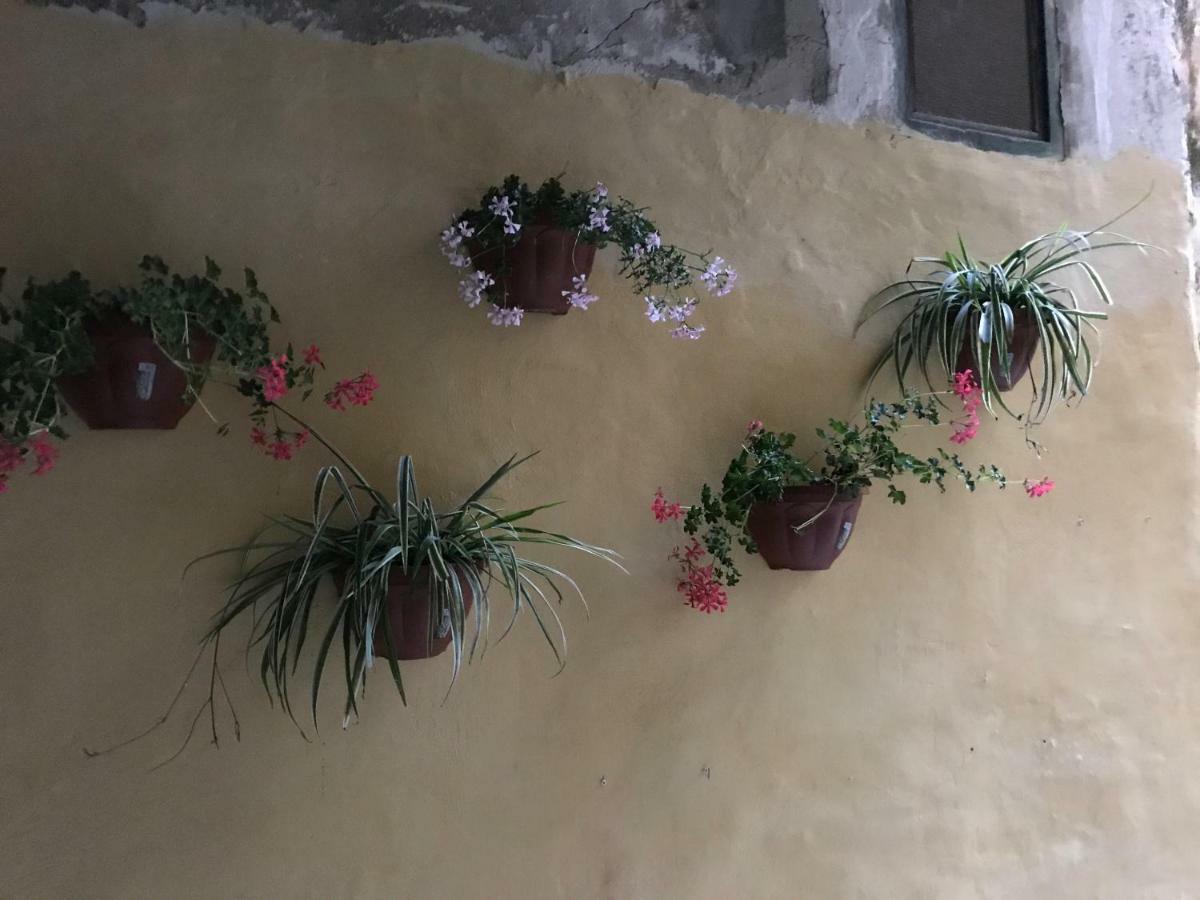 萨莱诺Chez Lumiere别墅 外观 照片